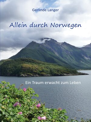 cover image of Allein durch Norwegen